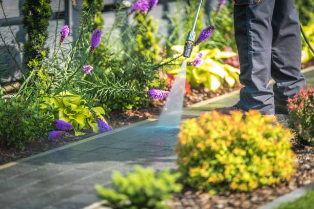 Best Fence Cleaning  in Spearfish, SD